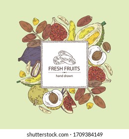 Background with fruits: figs fruit, dates, durian frut and longan. Vector hand drawn illustration.