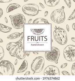 Background with fruits: figs fruits, persimmon, pepino fruit and medlar japanese. Vector hand drawn illustration.