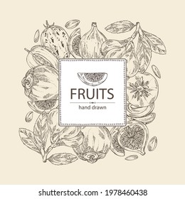Background with fruits: figs fruits, persimmon, pepino fruit and medlar japanese. Vector hand drawn illustration.