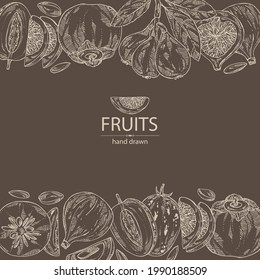 Background with fruits: figs fruits, persimmon, pepino fruit and medlar japanese. Vector hand drawn illustration.