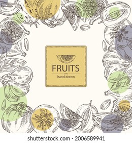 Background with fruits: figs fruits, persimmon, pepino fruit and medlar japanese. Vector hand drawn illustration.