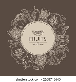 Background with fruits: figs fruits, persimmon, pepino fruit and medlar japanese. Vector hand drawn illustration.