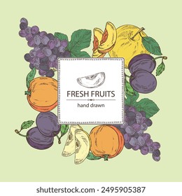 Background with fruits: grapes, peach, plum and apple. Vector hand drawn illustration.
