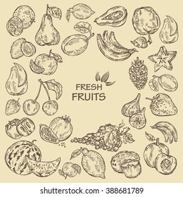 Background with fruits. hand drawn