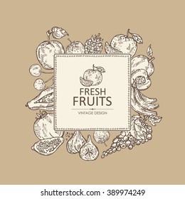 Background with fruits . hand drawn