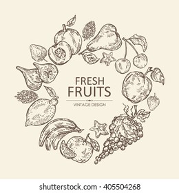 Background with fruits . hand drawn