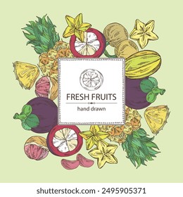Background with fruits: kepundung fruit, pineapple, carambola and mangosteen. Vector hand drawn illustration.
