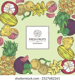 Fundo com frutas: fruta kepundung, abacaxi, carambola e mangostão. Ilustração desenhada à mão vetorial.