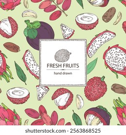 Background with fruits: mangosteen, pitaya, dragon fruit, lichee, date fruit. Vector hand drawn illustration.