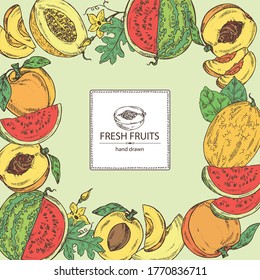 Background with fruits: melon, watermelon, peach and apricot. Vector hand drawn illustration