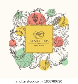 Background with fruits: melon, watermelon, peach and apricot. Vector hand drawn illustration