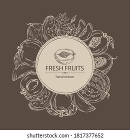 Hintergrund mit Früchten: Melone, Wassermelone, Pfirsich und Aprikose. handgezeichnete Vektorgrafik