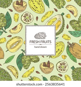 Background with fruits: morinda, noni fruit, pepino, melon pear, durian, sapodilla. Vector hand drawn illustration.