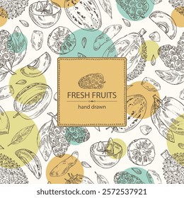 Background with fruits: morinda, noni fruit, pepino, melon pear, durian, sapodilla. Vector hand drawn illustration.