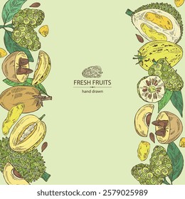 Background with fruits: morinda, noni fruit, pepino, melon pear, durian, sapodilla. Vector hand drawn illustration.