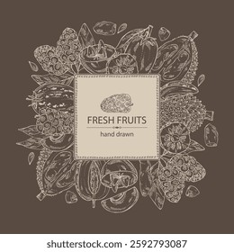 Background with fruits: morinda, noni fruit, pepino, melon pear, durian, sapodilla. Vector hand drawn illustration.