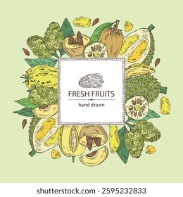 Background with fruits: morinda, noni fruit, pepino, melon pear, durian, sapodilla. Vector hand drawn illustration.