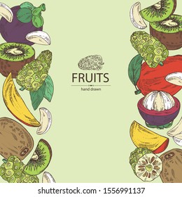 Background with fruits: noni frui, kiwi, mango and mangosteen. Vector hand drawn illustration