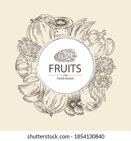 Background with fruits: noni frui, kiwi, mango and mangosteen. Vector hand drawn illustration