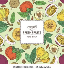 Background with fruits: passion fruit, persimmon, medlar japanese and longan. Vector hand drawn illustration.