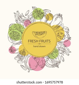 Background with fruits:pitaya, dragon fruit, persimmon, feijoa and passion fruit . Vector hand drawn illustration