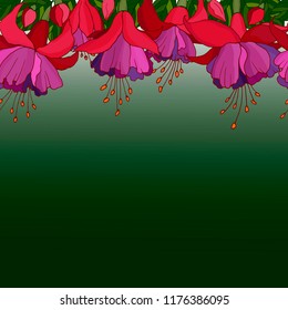 background with fuchsia flowers