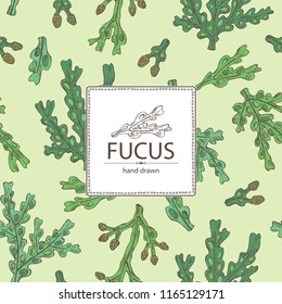 Background with fucus: fucus seaweed, sea grapes. Brown algae. Edible seaweed. Vector hand drawn illustration.