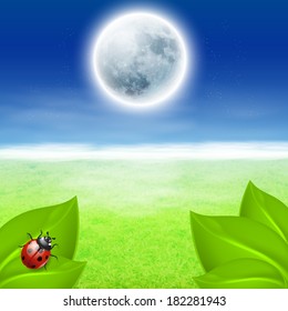 Background with full moon, green grass and ladybird. EPS10 vector.