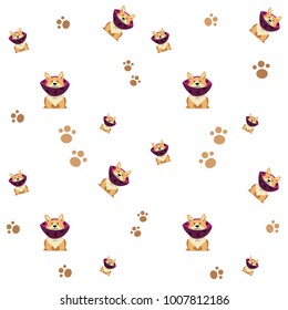 background funny little corgi