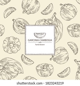 Background with garcinia cambogia: garcinia fruts and leaves. Super food. Vector hand drawn 