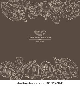 Background with garcinia cambogia: garcinia fruts and leaves. Super food. Vector hand drawn illustration.
