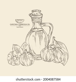 Background with garcinia cambogia,  fruts, leaves and bottle of garcinia oil. Vector hand drawn illustration