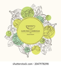 Background with garcinia cambogia: garcinia fruts and leaves. Super food. Vector hand drawn illustration.