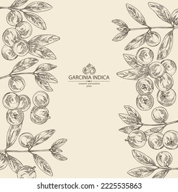 Background with garcinia indica: garcinia indica plant, leaves and garcinia indica fruits. Vrikshamla. Cosmetic, perfumery and medical plant. Vector hand drawn illustration