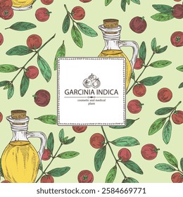 Background with garcinia indica: garcinia indica plant, leaves, garcinia indica fruits and bottle of garcinia indica oil. Vrikshamla. Vector hand drawn illustration.