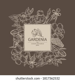 Antecedentes con gardenia, flores de gardenia, jabón y sal de baño. Planta cosmética y médica. Ilustración dibujada a mano por vectores. 