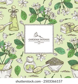 Fondo con gardenia taitensis: planta de tiara, hojas y flores de gardenia taitensis. Gardenia tahitiana, flor de árbol de tiare . Planta cosmética, perfumería y médica. Vector dibujado a mano