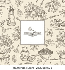 Fondo con gardenia taitensis: planta de tiara, hojas y flores de gardenia taitensis. Gardenia tahitiana, flor de árbol de tiare . Planta cosmética, perfumería y médica. Vector dibujado a mano