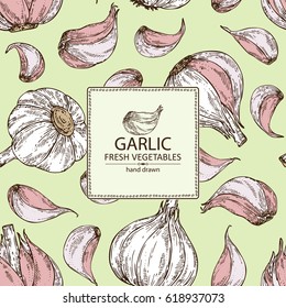 Background with garlic. hand drawn