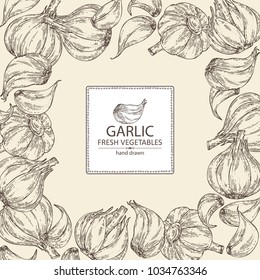 Background with garlic. Vector hand drawn illustration