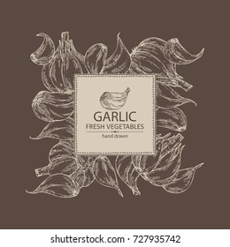 Background with garlic. Vector hand drawn illustration.