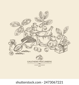 Background with  gaultheria procumbens: gaultheria procumbens plant, flowers and gaultheria procumbens berries. Oil, soap and bath salt . Cosmetics and medical plant. Vector hand drawn