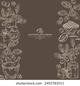 Background with  gaultheria procumbens: gaultheria procumbens plant, flowers and gaultheria procumbens berries. Oil, soap and bath salt . Cosmetics and medical plant. Vector hand drawn