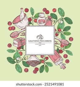 Background with  gaultheria procumbens: gaultheria procumbens plant, flowers and gaultheria procumbens berries. Oil, soap and bath salt . Cosmetics and medical plant. Vector hand drawn