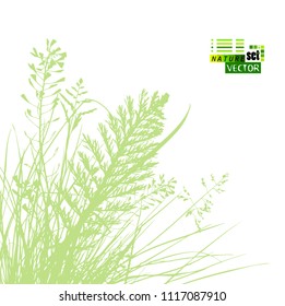 Background of a gentle green grass