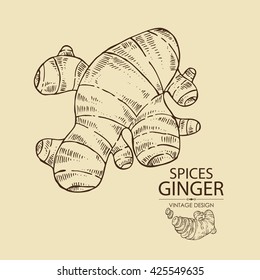 Background with ginger, hand drawn