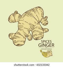 Background with ginger, hand drawn