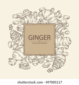 Background with ginger. hand drawn