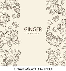 Background with ginger. hand drawn