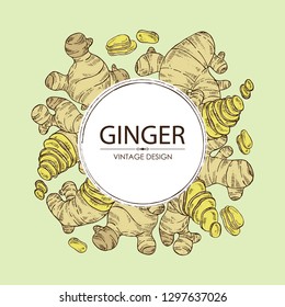 Background with ginger: root and pice of ginger, Vector hand drawn illustration